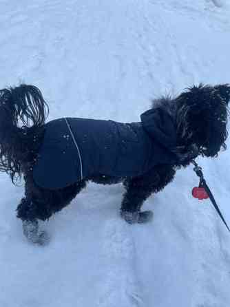 Rukka koiran toppa takki Hyvinge