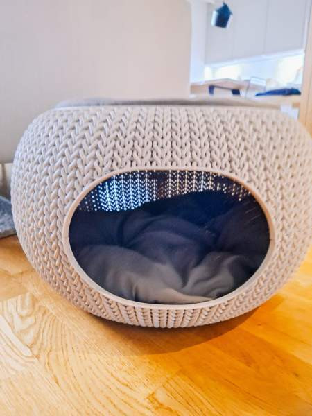 Curver knit beige koiran peti Vantaa - valokuva 2