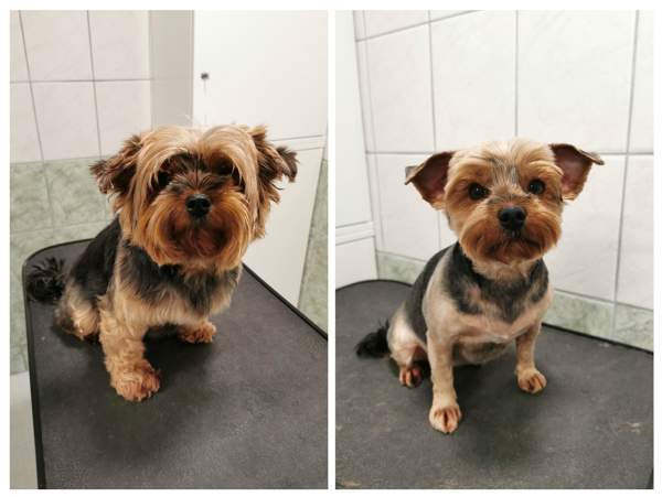 Trimmaus Helsinki - valokuva 2