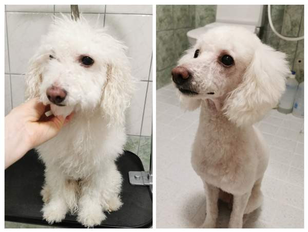 Trimmaus Helsinki - valokuva 6