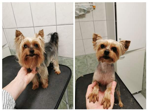 Trimmaus Helsinki - valokuva 4