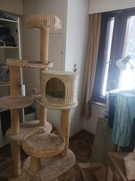 Kissan raapimis teline Vesilahti – foto 1