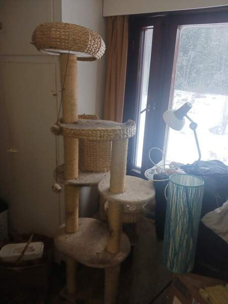 Kissan raapimis teline Vesilahti – foto 2