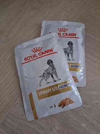 Royal Canin Urinary S/O avaamaton ruokapussi koiraĺle Masku