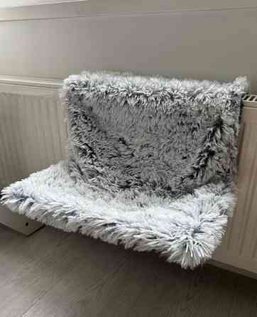 Kissan patteripeti Turku