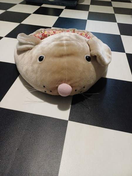 Hiiripeti Uusikaupunki - valokuva 1