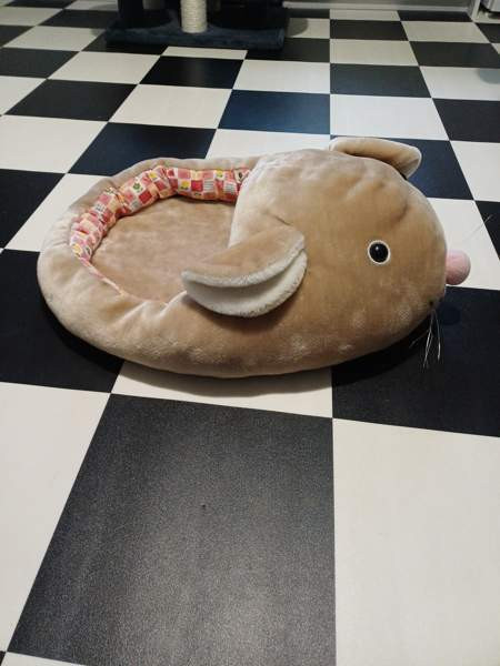 Hiiripeti Uusikaupunki - valokuva 2