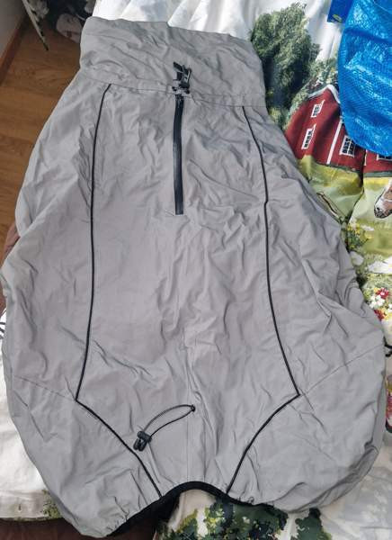 Heijastava koiran sadetakki Tampere - valokuva 1