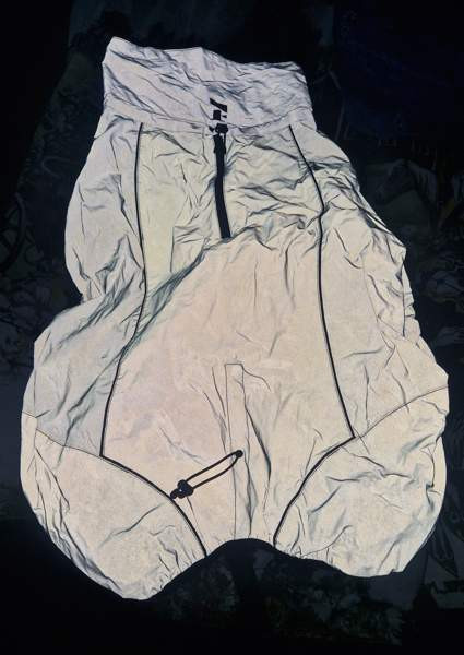 Heijastava koiran sadetakki Tampere - valokuva 3