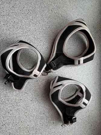 Koiranpennun/pienen koiran tarvikkeita Kankaanpää