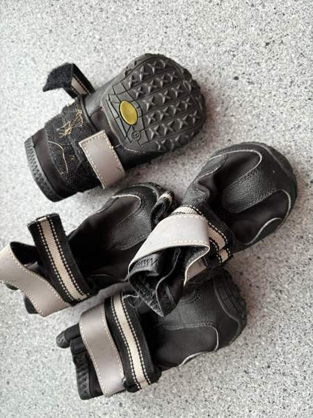 Koiranpennun/pienen koiran tarvikkeita Kankaanpää – foto 8