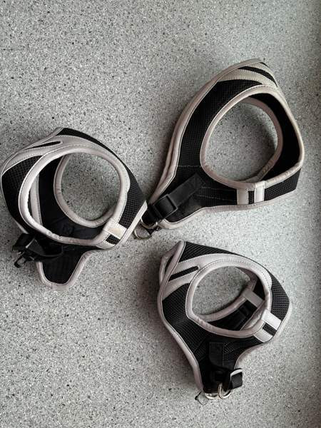 Koiranpennun/pienen koiran tarvikkeita Kankaanpää – foto 5