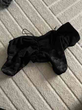 Koiran takkeja koot 25&30 Rovaniemi