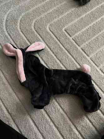 Koiran takkeja koot 25&30 Rovaniemi