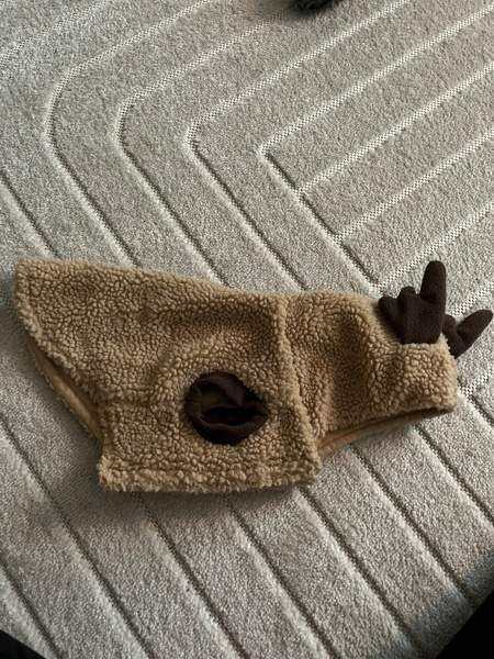 Koiran takkeja koot 25&30 Rovaniemi - valokuva 5