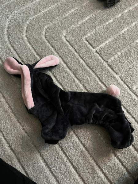 Koiran takkeja koot 25&30 Rovaniemi - valokuva 4