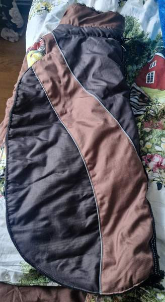 Koiran paksu takki Tampere - valokuva 1