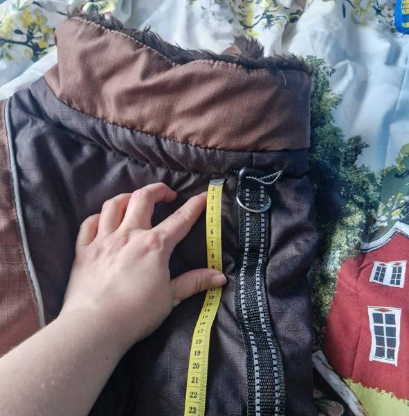 Koiran paksu takki Tampere - valokuva 3