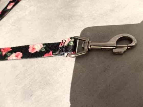 Talutin 170cm Jyvaeskylae