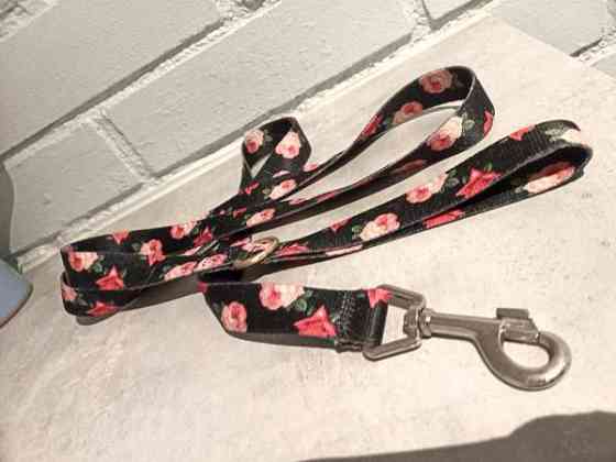 Talutin 170cm Jyvaeskylae