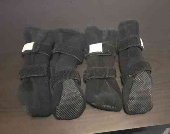 Basic  M koiran tossut Alajärvi