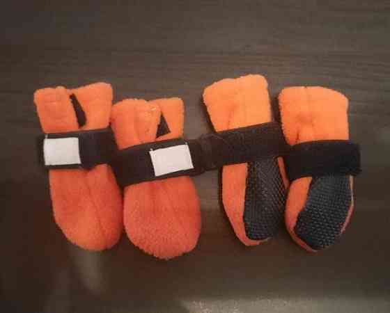 Basic xs koiran tossut Alajärvi