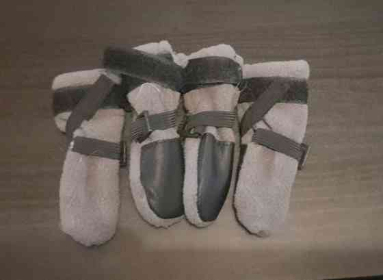 Finnero xxs koiran tossut Alajärvi