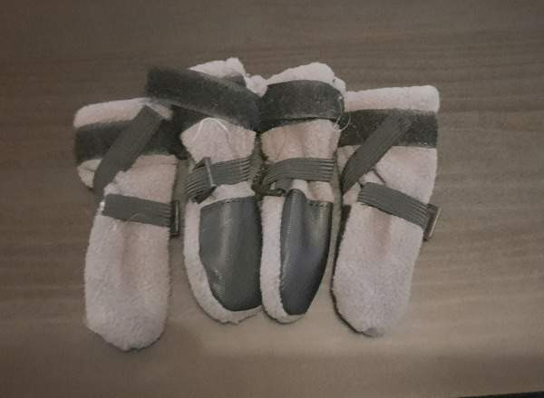 Finnero xxs koiran tossut Alajärvi - valokuva 1