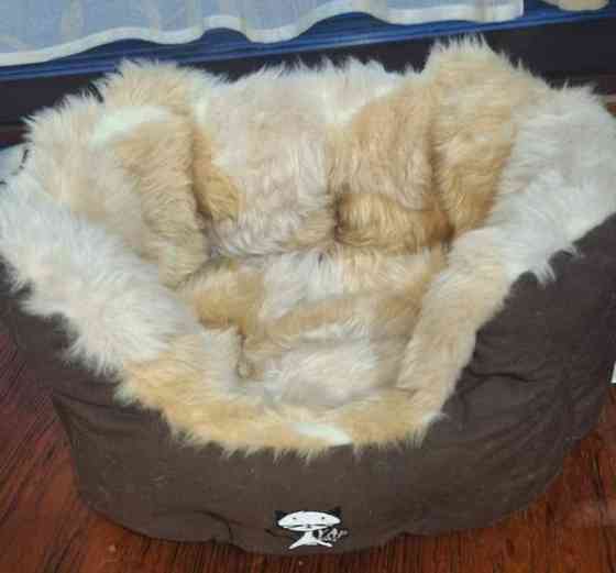 Pehmeä kissapeti Imatra