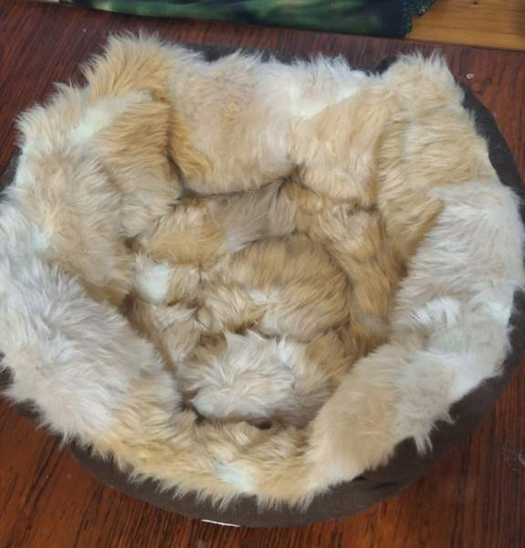 Pehmeä kissapeti Imatra – foto 1