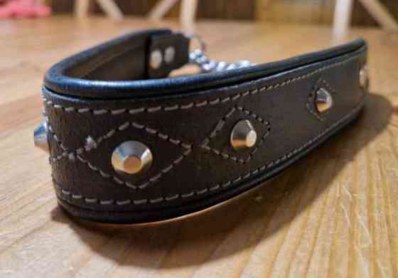 Puolikuristava nahkapanta niiteillä n.50-52cm kaulaan Isojoki