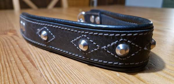 Puolikuristava nahkapanta niiteillä n.50-52cm kaulaan Isojoki - изображение 1