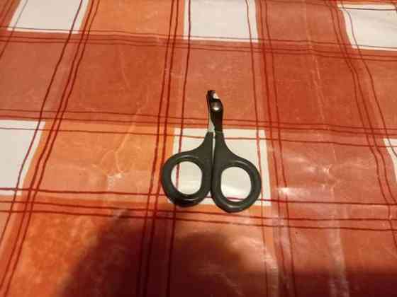 Kissan kynsisakset Kotka