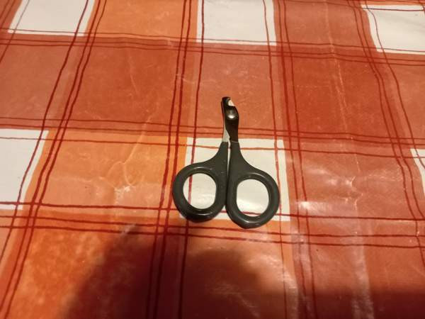 Kissan kynsisakset Kotka – foto 1