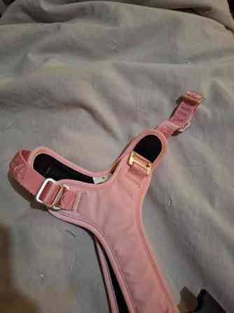 PAIKKA visibility valjaat pink S Tampere