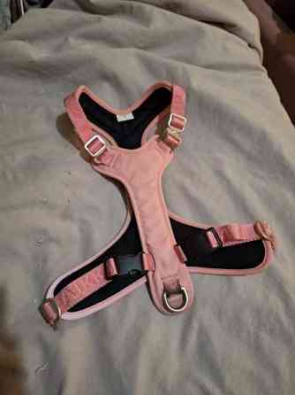 PAIKKA visibility valjaat pink S Tampere