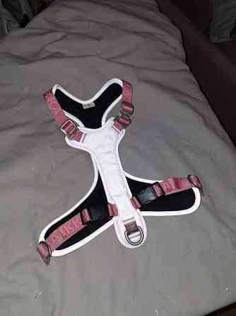 PAIKKA visibility valjaat pink S Tampere