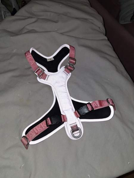 PAIKKA visibility valjaat pink S Tampere - valokuva 4