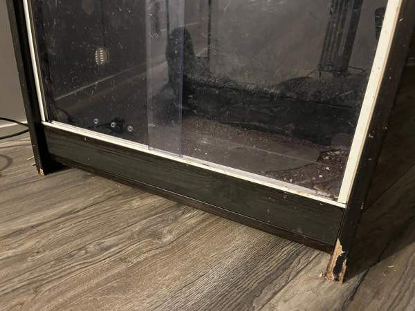 Terratorni Kurikka - valokuva 2