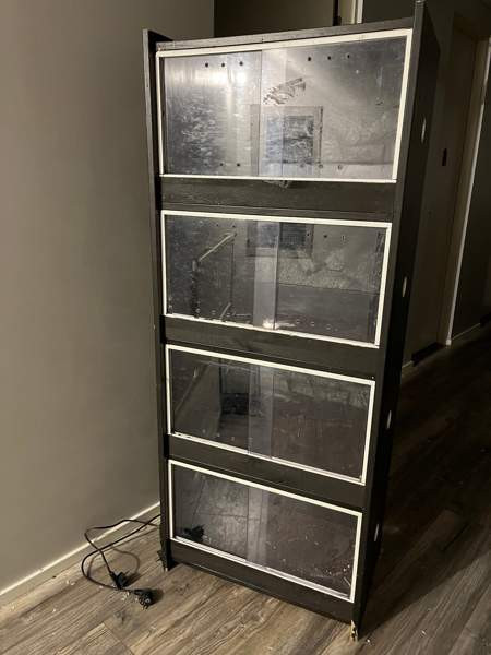 Terratorni Kurikka - valokuva 1