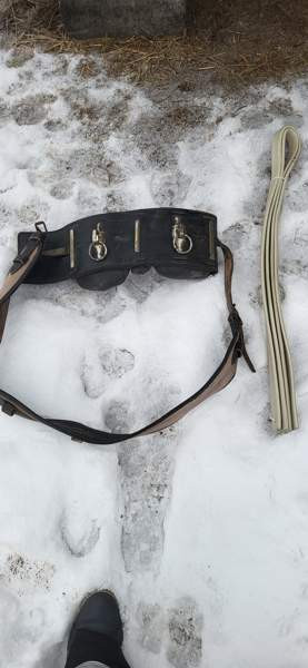 Hevostarvikkeita Joensuu - valokuva 1