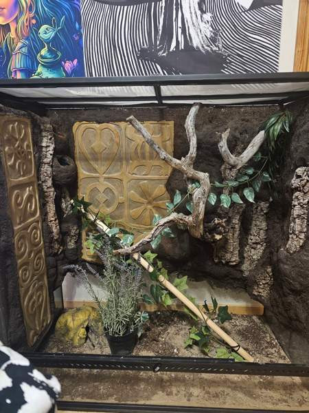 90×90×45 exoterra Joroinen - valokuva 2