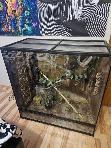 90×90×45 exoterra Joroinen - valokuva 1