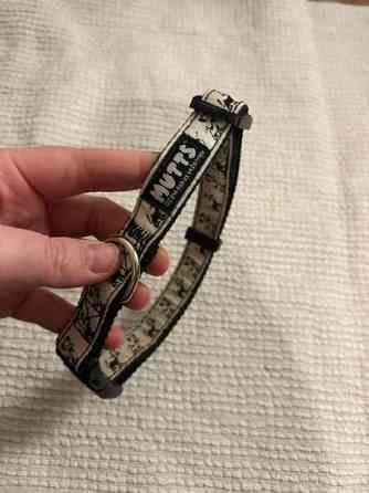 Koiran panta Tampere