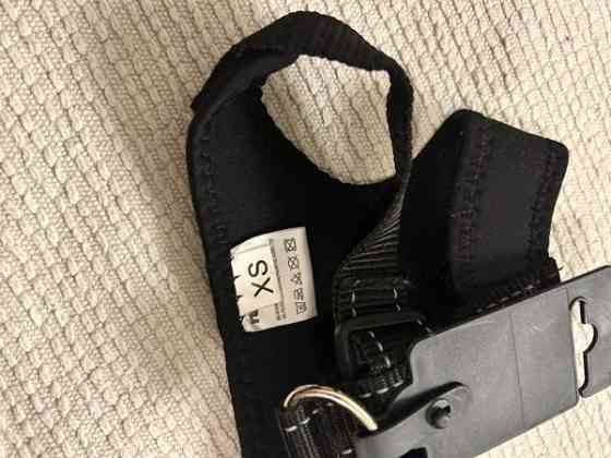 Koiran valjaat xs Tampere