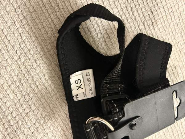 Koiran valjaat xs Tampere - valokuva 2