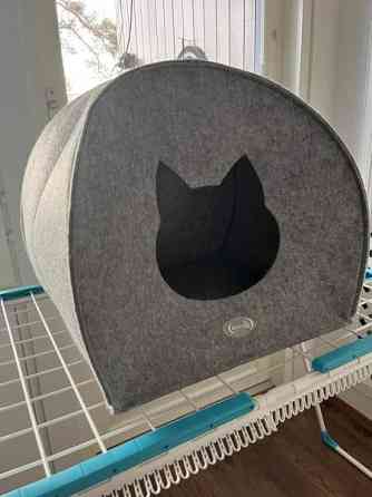 Kissanluola Эспоо