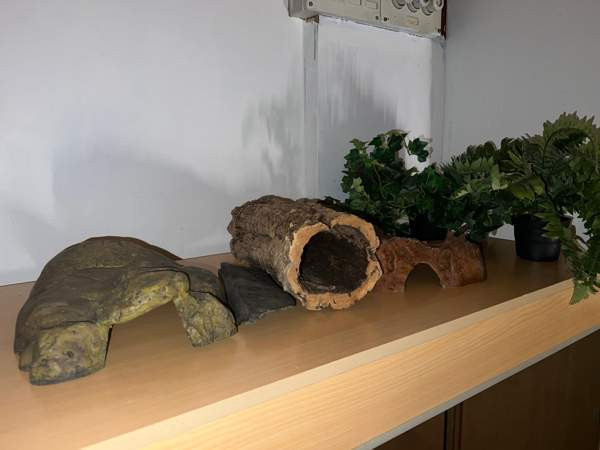 Liukuovi terraario+tarvikkeet Hämeenkyrö - photo 2