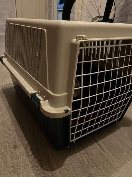 Kissatarvikkeet Пори - изображение 1