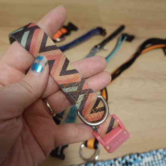 Koiran kaulapantoja setti Vantaa